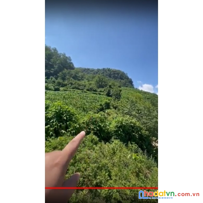 Mảnh đất 565m2 săn mây đẹp nhất lào cai sát vách sân golf