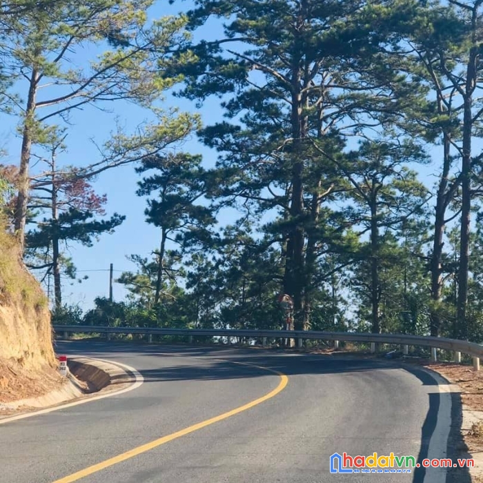 Bán đất xuân thọ đà lạt làm cafe checkin