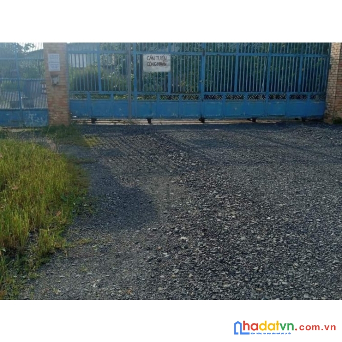 Cho thuê đất trống mặt tiền tỉnh lộ 830, xã lương bình, bến lức, long an. kế cạnh khu công nghiệp