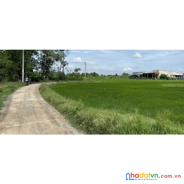 4 công đất mặt tiền, đường ô tô tân trung, thị xã gò công, tiền giang