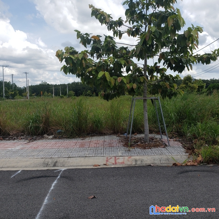 Tôi cần bán 1 cặp lk25 ô 14 và 15 trong kdc nam long - bàu bàng. giá 14tr/m2.