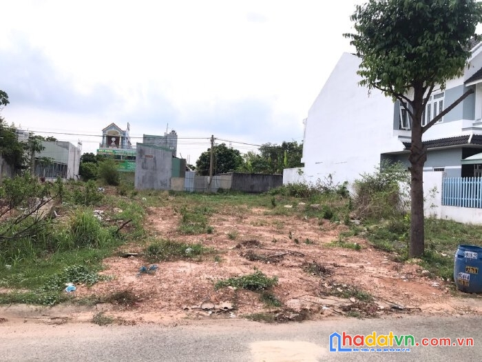 Cần bán gấp 2 lô đất đường 835b cần giuộc, 100m2 thổ cư đường nhựa 12m. công chứng ngay 1,3 tỷ