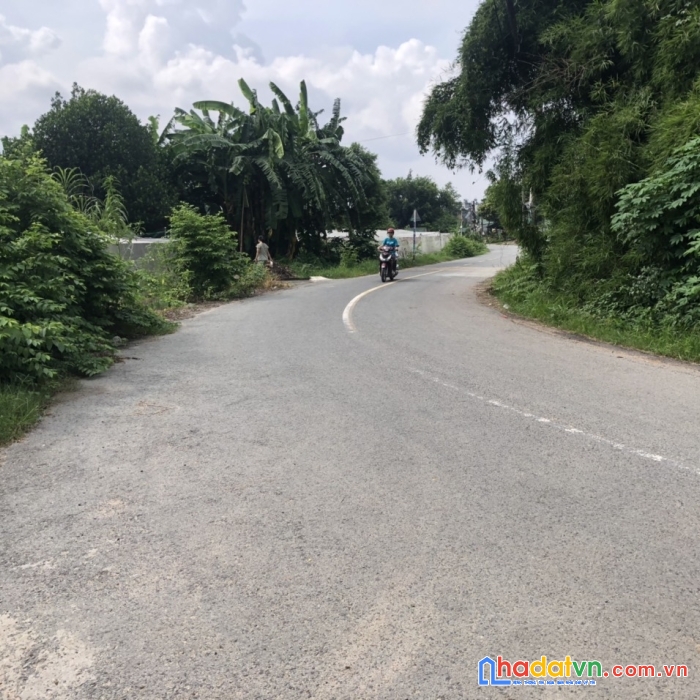 Bán đất nông nghiệp mặt tiền đường 461xã trung an, huyện củ chi, 13.313m2 chỉ 97tỷ