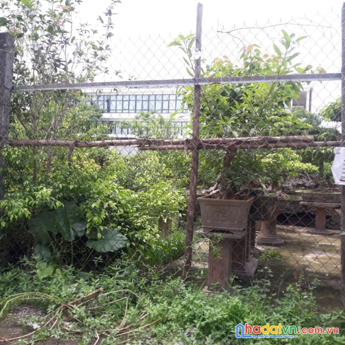 Bán đất 268 ngọc thụy long biên  xe bồn vào giá đầu tư