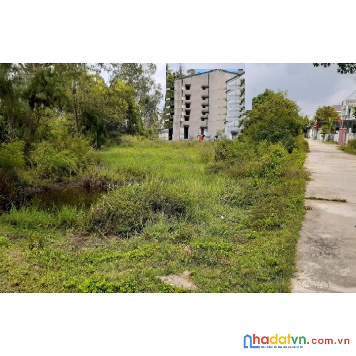 Đất biển bình hải, thăng bình 3000m2, 100m2 ở, 5.950 tỷ