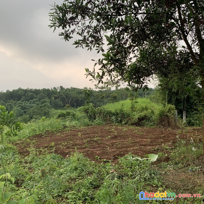 Chính chủ cần bán đất tân lạc, ngay gần thị trấn mãn đức giá chỉ 300k/m