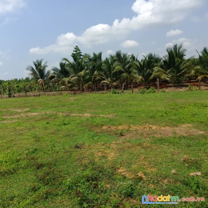 Chính chủ cần bán gấp lô đất vị trí đẹp tại bình phước