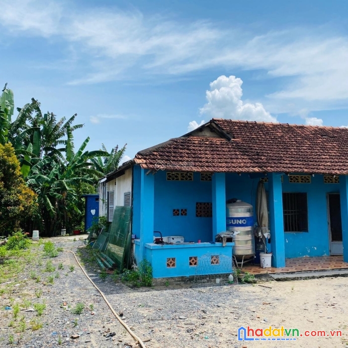 Bán đất 1600m2 mặt tiền đường nhựa củ chi