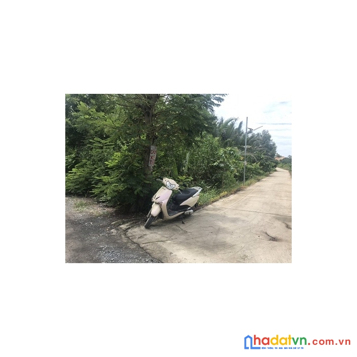 Cần bán đất tại đường đê bao khu a, xã đa phước, huyện bình chánh