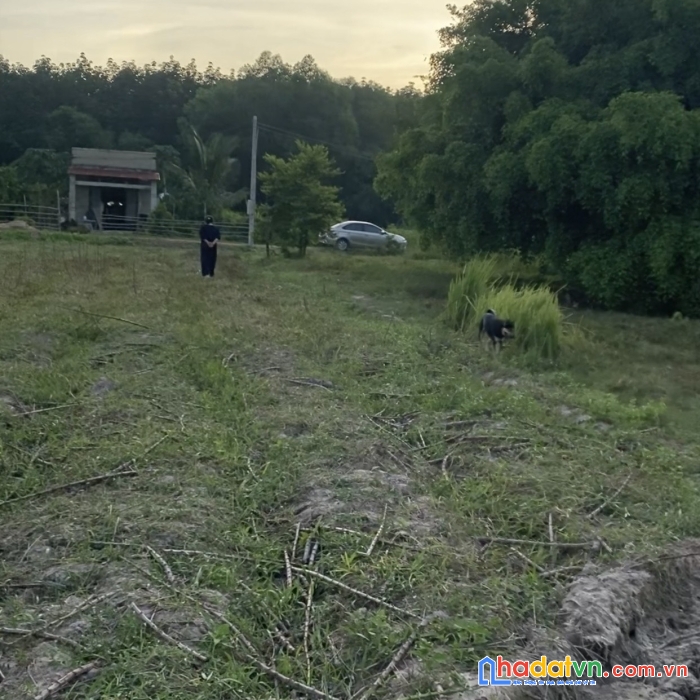 Chính chủ bán đất tân phong, tân biên, tây ninh