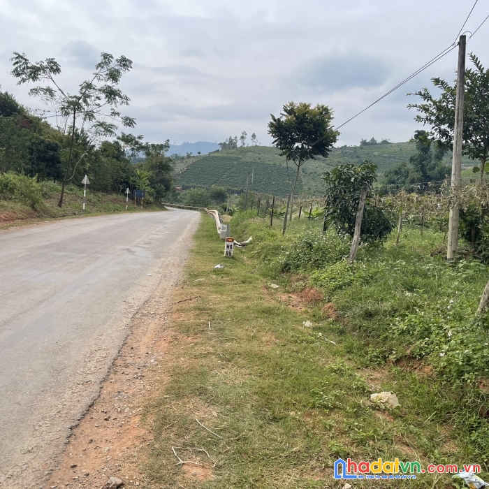 Mảnh đất 660 ql 43 mộc châu . đón đầu quy hoạch. giá đất  từ 3 - 5 tr/m2 
( lh 0369583341)