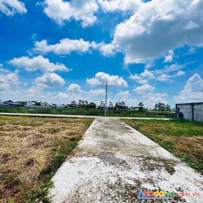 Bán đất bình chánh 5x14 shr giá 850tr full giá shr