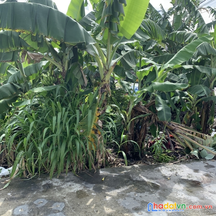 Chưa đến 1 tỷ có ngay lô đất mặt đường phạm gia mô, hưng đạo, dương kinh