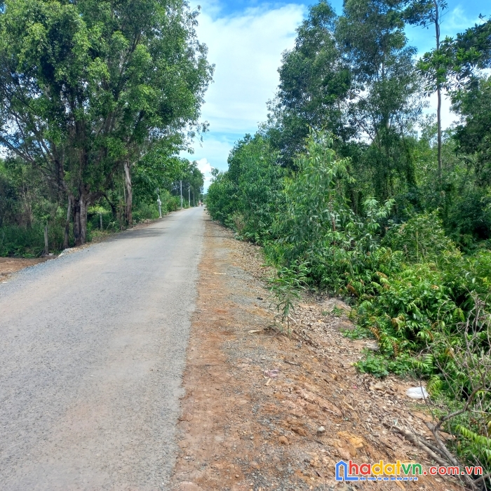 Bán gấp đất vị trí đẹp tại tân lập, tân phước tiền giang