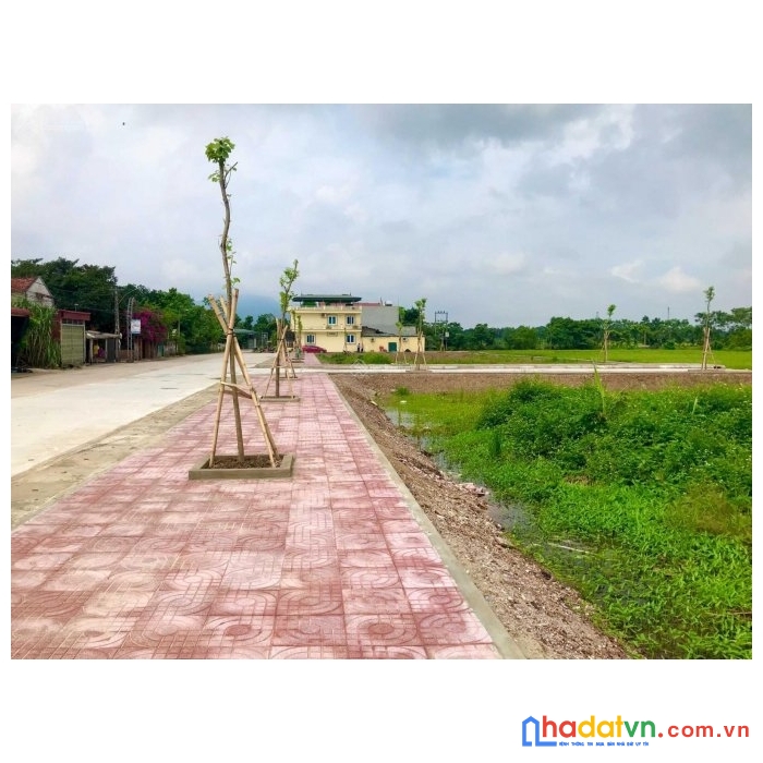 Chính chủ cần bán hai lô thuộc phân khu gần trung tâm hành chính xã nông trường