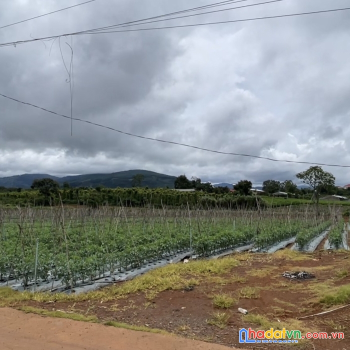 Bán đất(18x56) cư xá, liên hiệp, đức trọng - khu dân cư