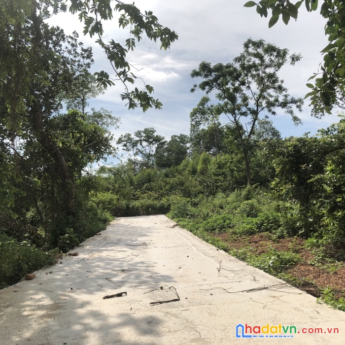 Siêu phẩm đất nền đồng phúc,yên dũng giá chỉ 7xxtr