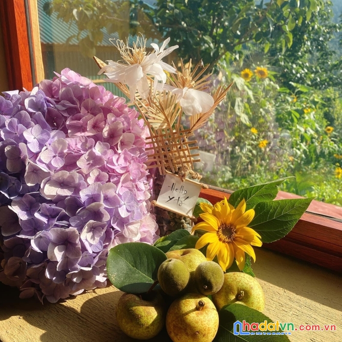 Cực hiếm, mảnh đất đón đầu các tập đoàn lớn tại y tý. view săn mây cực đỉnh