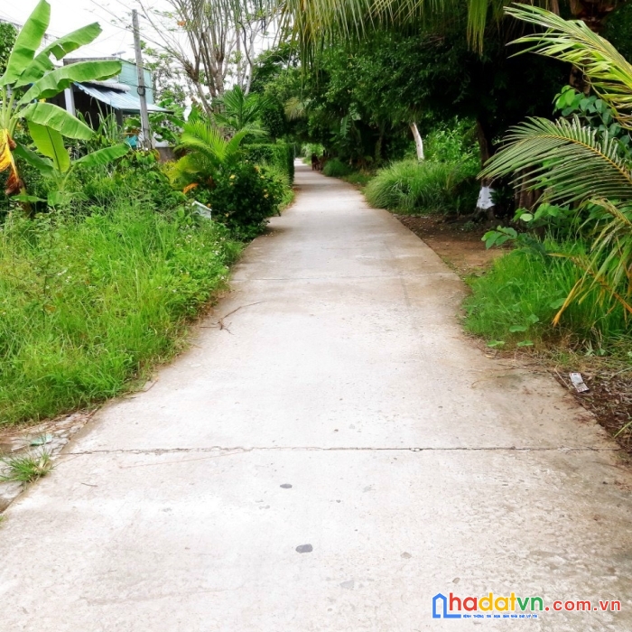 Lô đất nền mt nguyễn văn nhị , ấp sua đũa, vĩnh hòa hiệp, châu thành, kg. 009