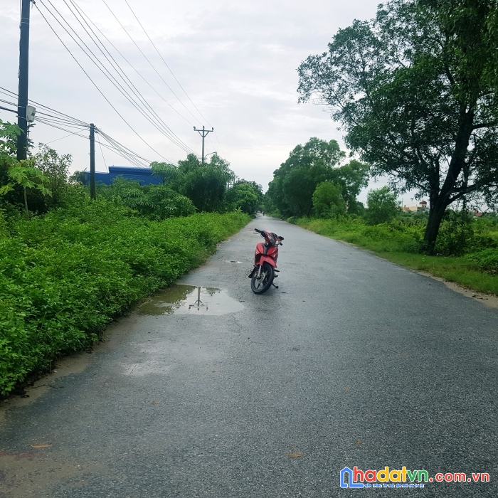 Mặt đường hải thành, giá chỉ 14 triệu.m2
