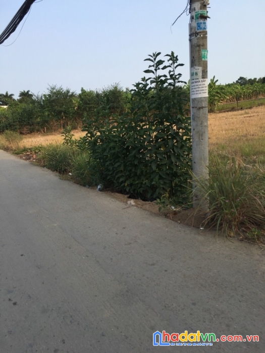 Bán gấp lô đất nền xã hưng long huyện bình chánh ,80.1m2, giá 1tỷ9.