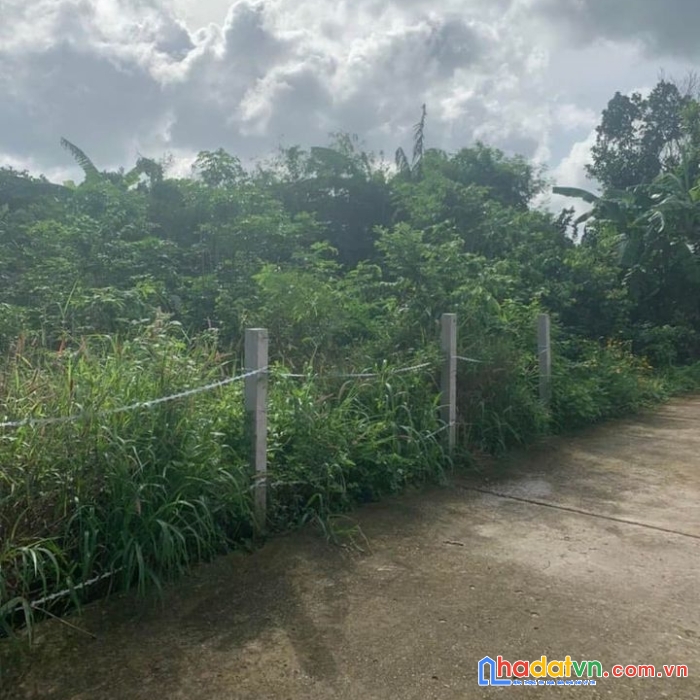 Bán lô đất đường bê tông hòa long