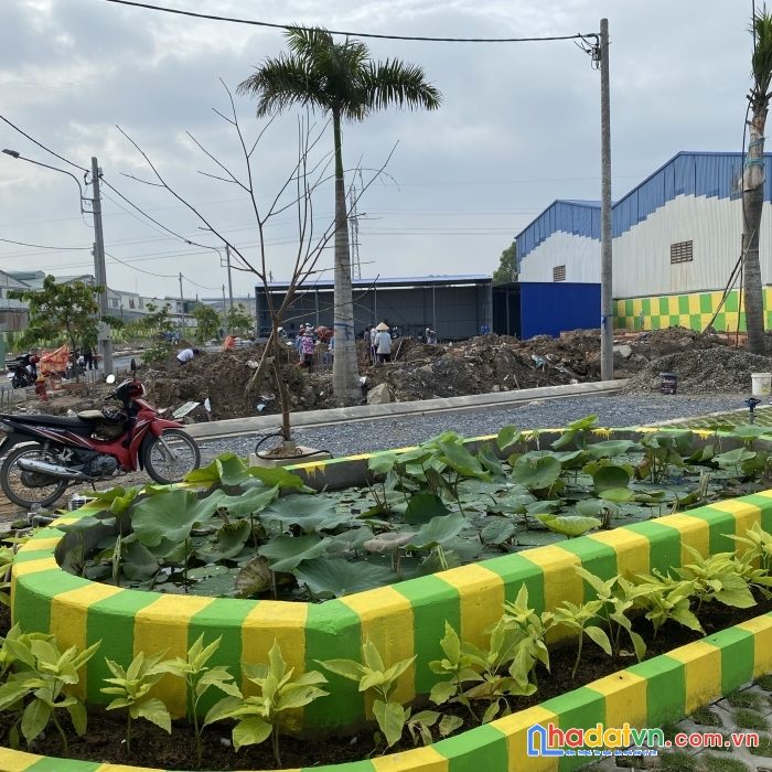 Đât nền đức hòa đông vị trí thương mại xây dựng kinh doanh ngay