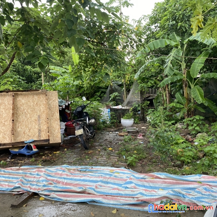 (hàng hiếm) đất tân trại, xã phú cường sóc sơn, , sổ 65.4m2.