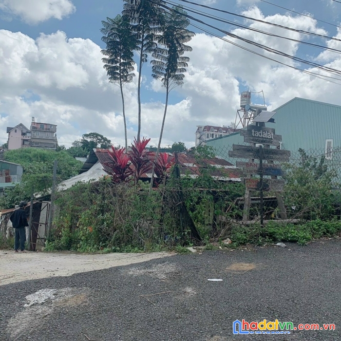 Cần bán đất xây biệt thự nghỉ dưỡng tại p9 đà lạt