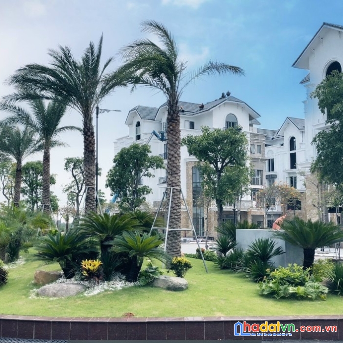 Mở bán dự án kim đô polcity