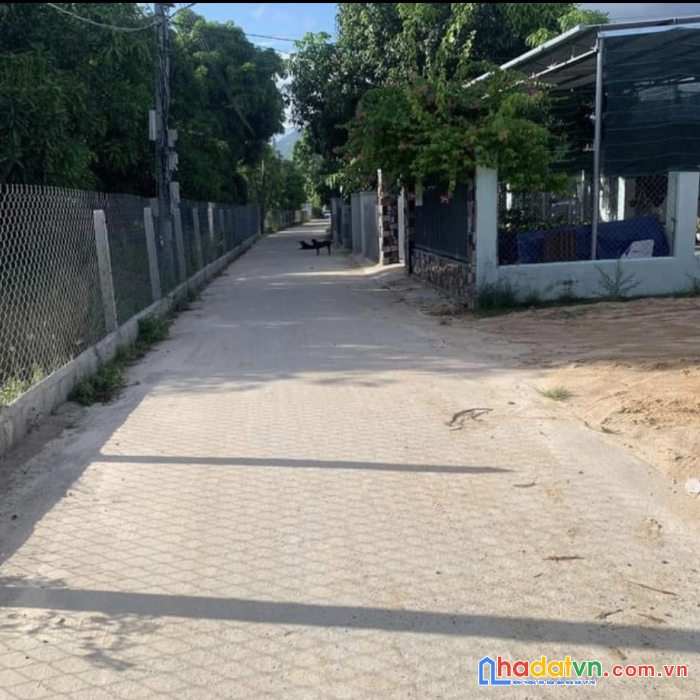 Chính chủ đất cam lâm  kẹt tiền cần ra gấp lô đất nền giá siêu hạt dẻ , lợi nhuận ngay sau khi mua
