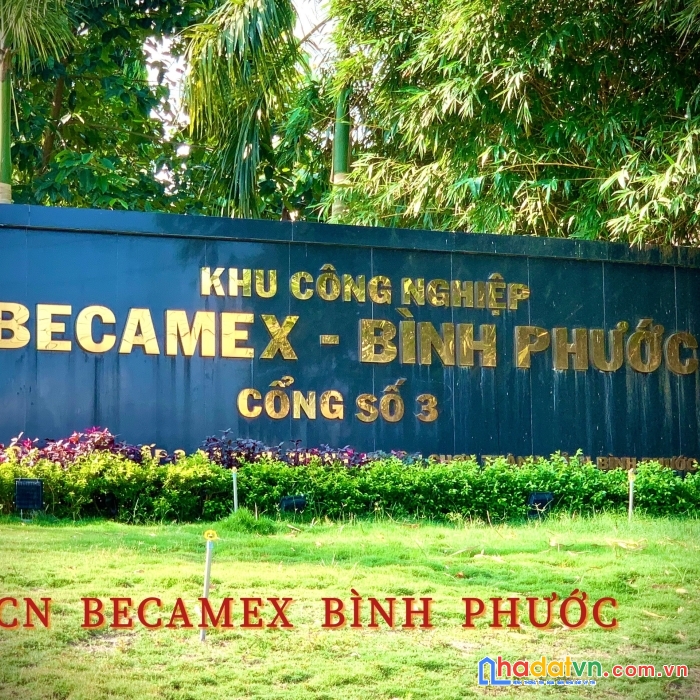 Đất nền tân quan - hớn quản - bình phước  giá mềm