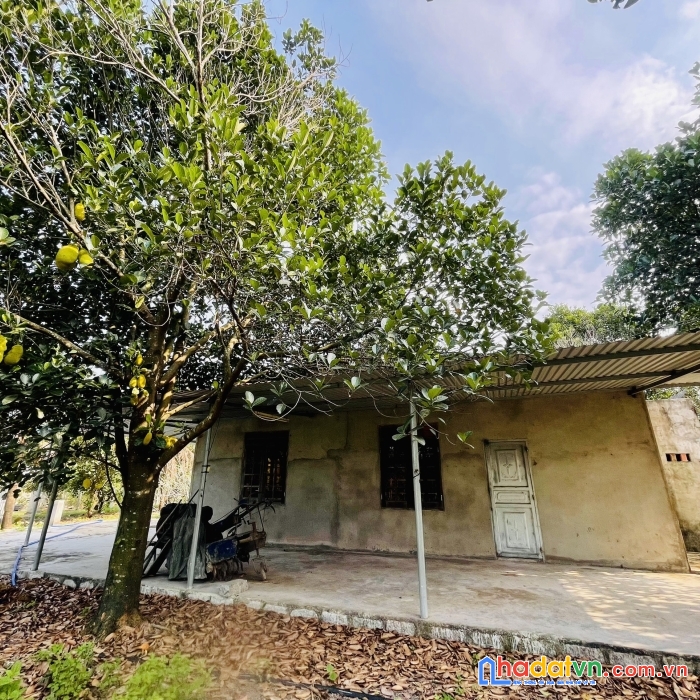 Vườn trái cây suối tiên, diên khánh hơn 400m2 (có 200m2 thổ) giá 1 tỷ 790 triệu