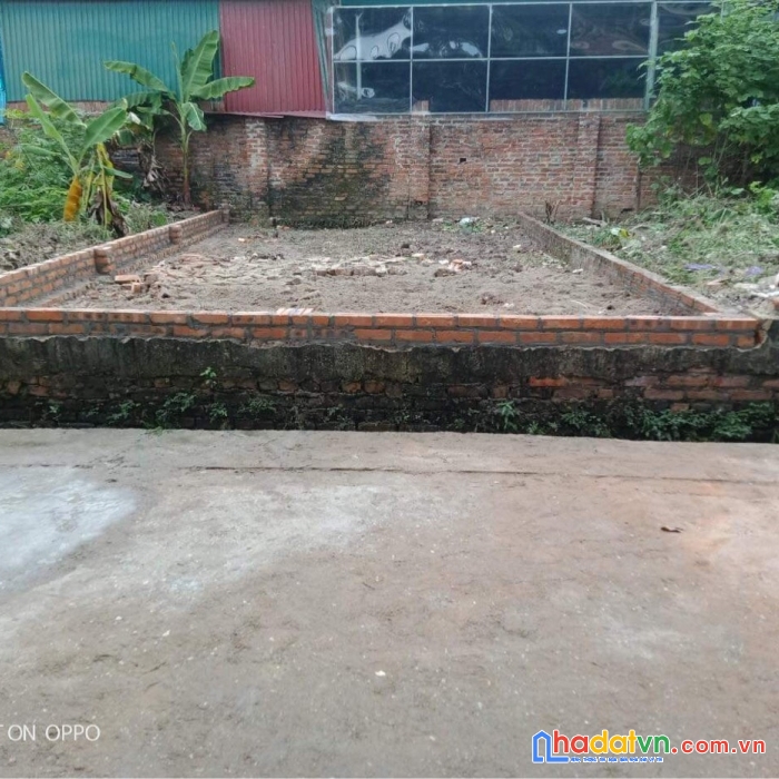 Bác em cần vốn làm ăn nên muốn nhượng lại mảnh đất