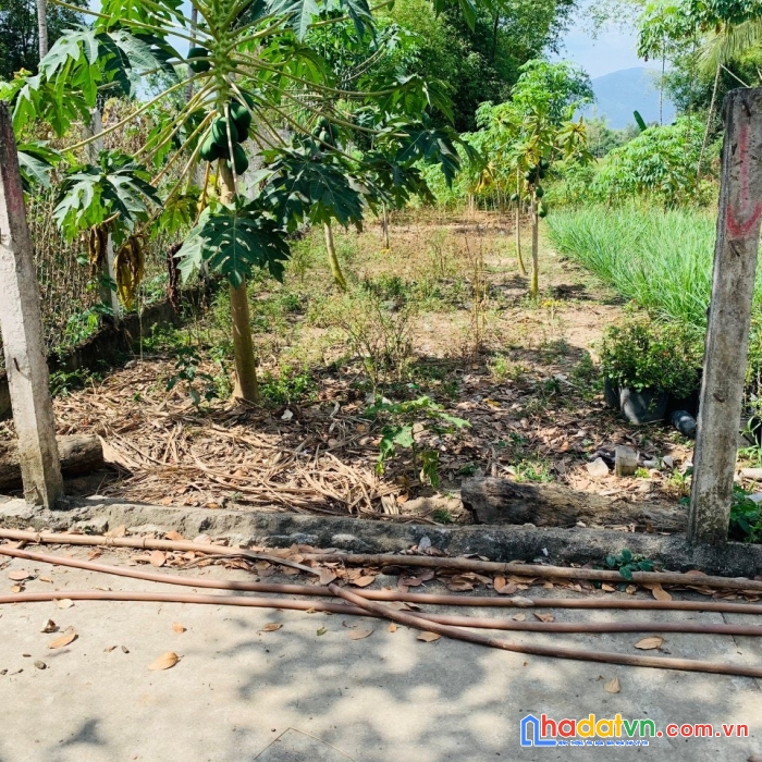 Thôn thanh mình 2, diên lạc, diên khánh 137m2, có 60m2 thổ, đường bê tông 3m giá 1,1tỷ (thương