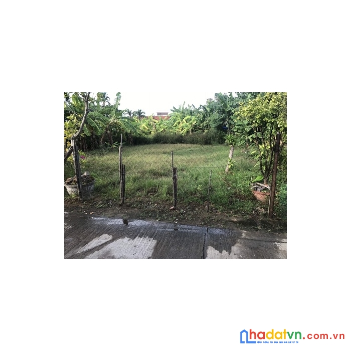 Chính chủ cần bán đất ở phú yên