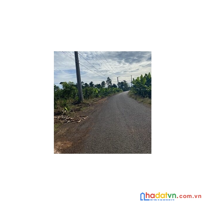 Cần bán lô đất đẹp ở xã sông trầu, huyện trảng bom, tỉnh đồng nai