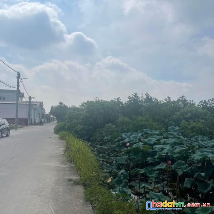 Chính chủ bán đất đấu giá x3 lương nỗ tiên dương đông anh lô 01 78m