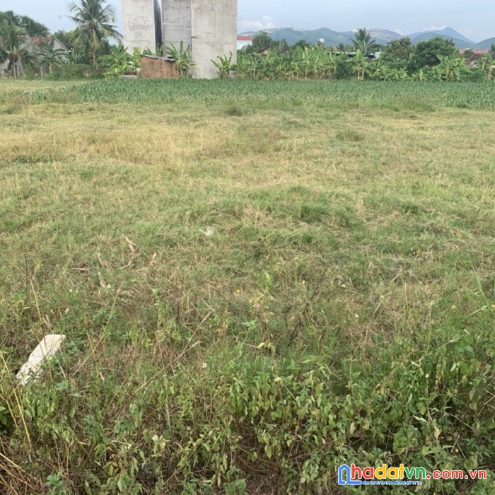 Cần bán gấp lô đất vị trí đẹp tại diên khánh, khánh hòa