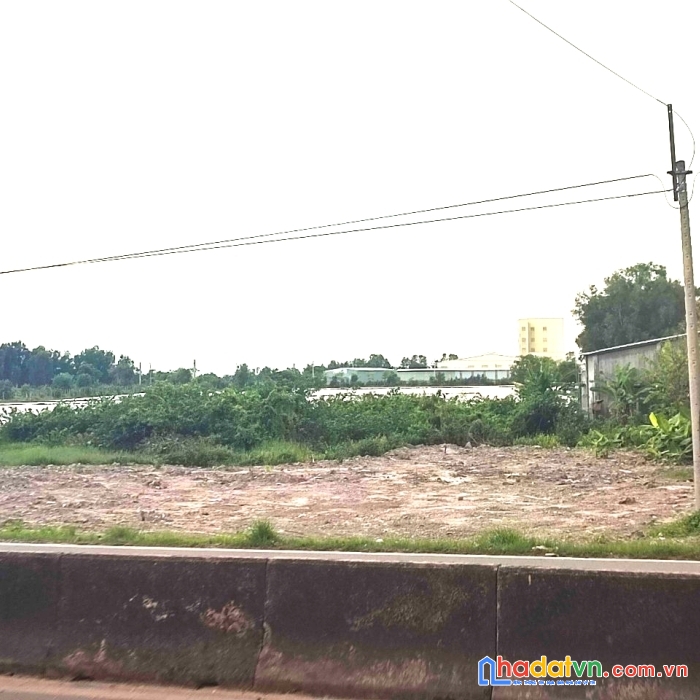 Đất ngộp mặt tiền ql 22b ở gò dầu giá chỉ 260tr/m ngang