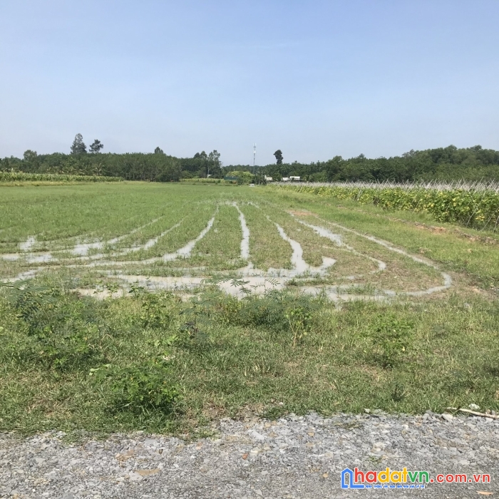 Bán đất vườn 1000m2 ấp trung hòa giá 2tỷ2xx