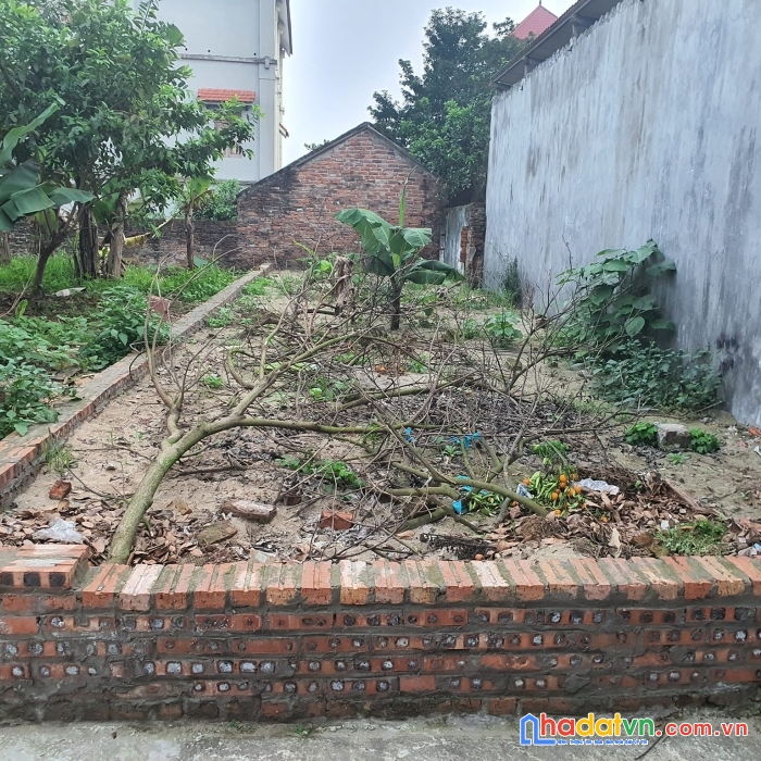 Vỡ nợ cắt bán bớt 138 đất ở đặng xá ô tô tận đất