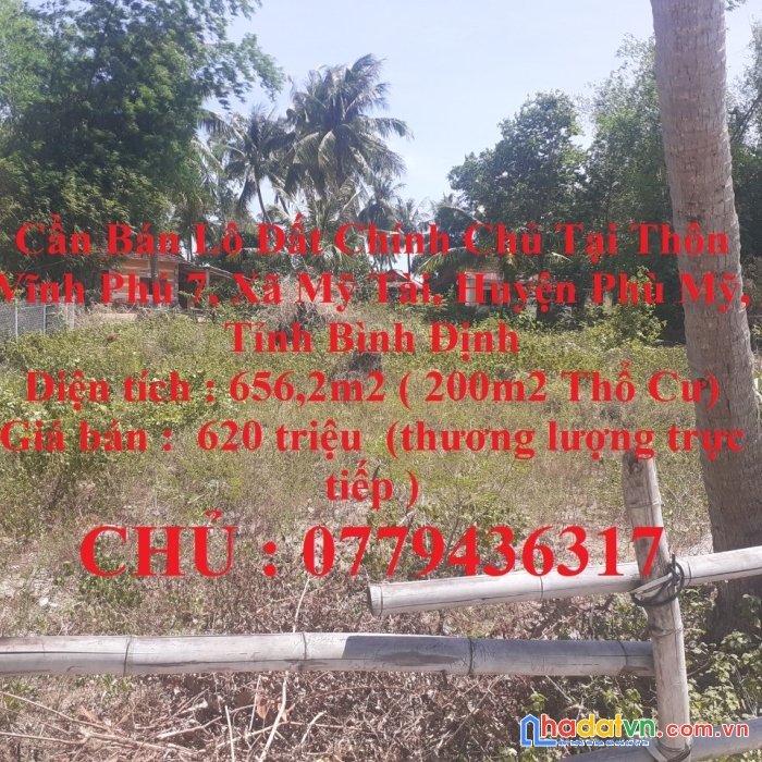 Cần bán lô đất chính chủ tại xã mỹ tài, huyện phù mỹ, tỉnh bình định