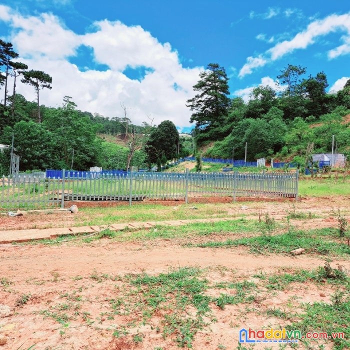 Chính chủ em lên lô đất đẹp cho nhà đầu tư ngay măng linh, phường 7, tp đà lạt, lâm đồng