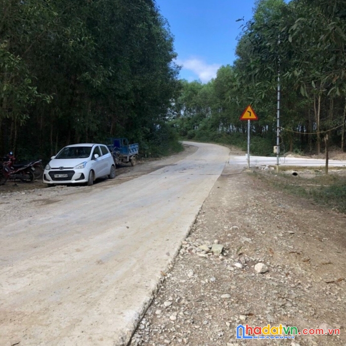 Bán lô đất trồng cây lâu năm tỉnh đắk nông, chỉ 150 triệu 1 sào, bán hơn 2 sào