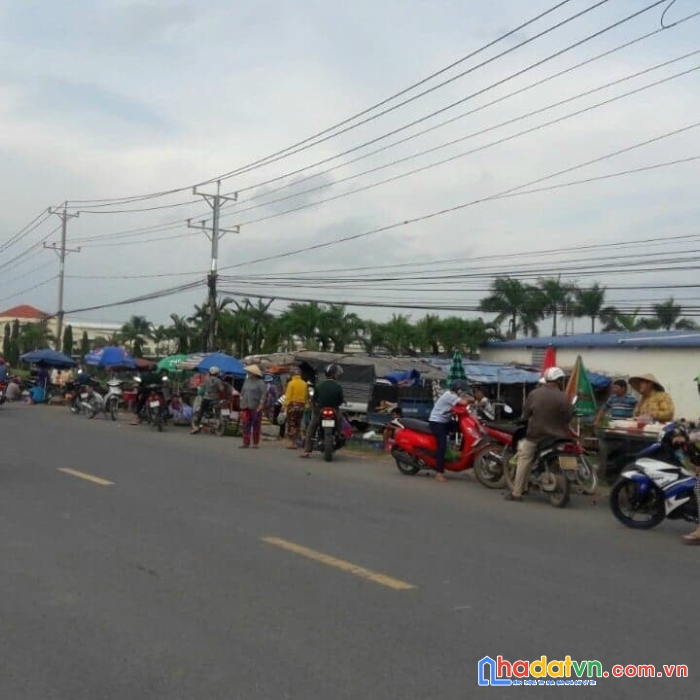 Duy nhát lô daresco cần bán gấp