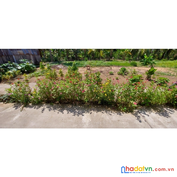 Chính chủ cần ra nhanh lô đất giá rẻ vị trí đắc địa tại huyện châu thành, tỉnh bến tre