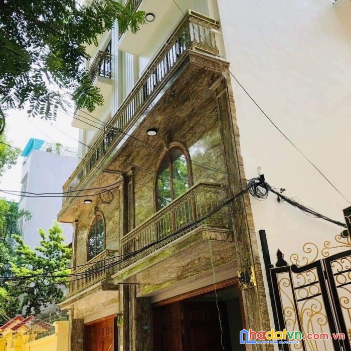 Bán nhà hào nam 42m ngõ ô tô kinh doanh đống đa 10 tỷ