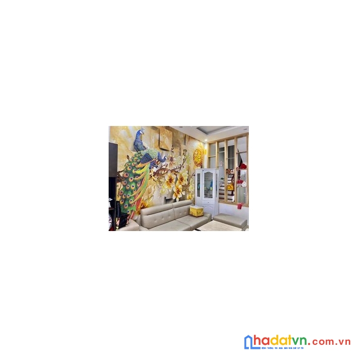Bán nhà 205 xuân đỉnh 37m2 - ô tô đỗ cổng - chỉ nhỉnh 4 tỷ