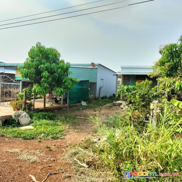 Chính chủ cần bán lô đất ngay khu dân cư đường nhựa 8m quy hoạch 18m giá 65tr/1m